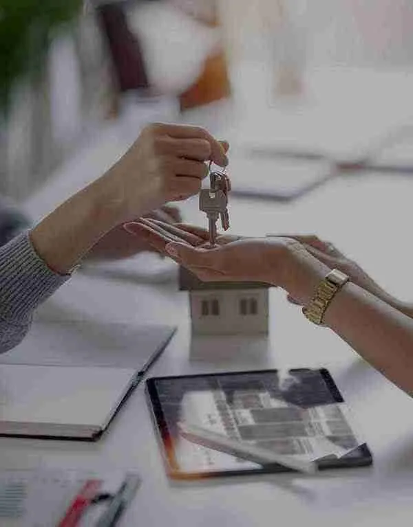 Elevate Your Property with Zip Management Group: A Seamless Rental Property Management Experience